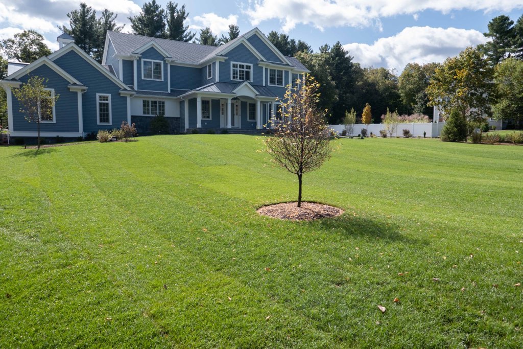 The 3 Best Late Summer Lawn Maintenance Tips