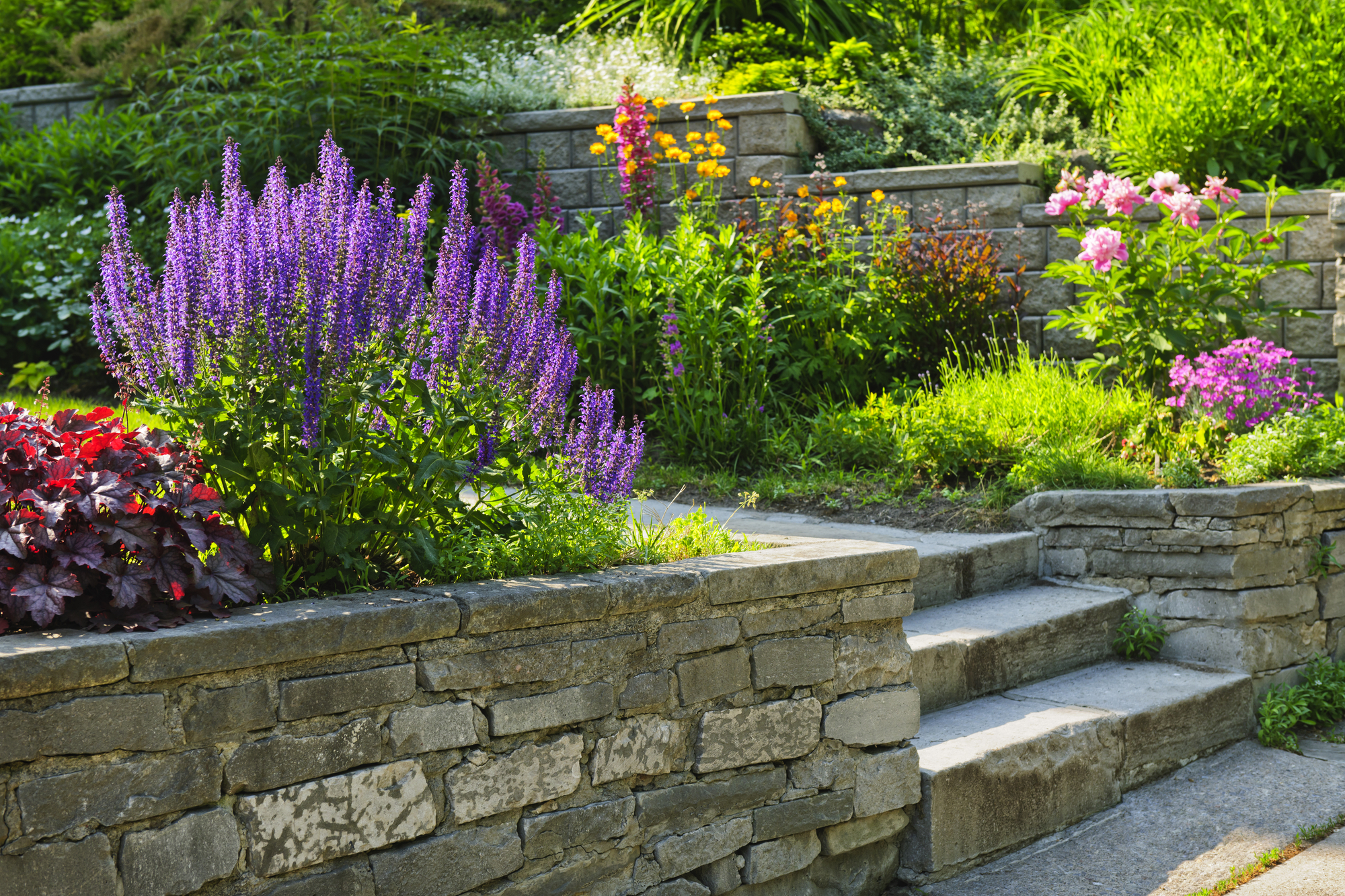 2022 Landscaping Trends